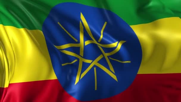 エチオピアの旗 — ストック動画