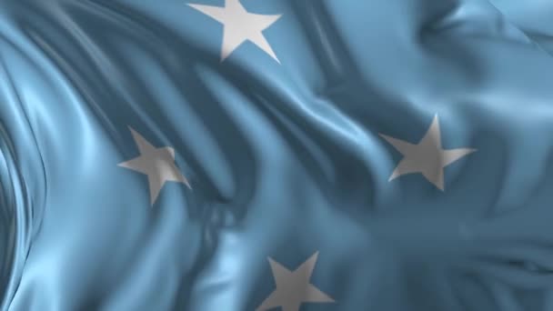 Flag of Federal States of Micronesia — Stock Video