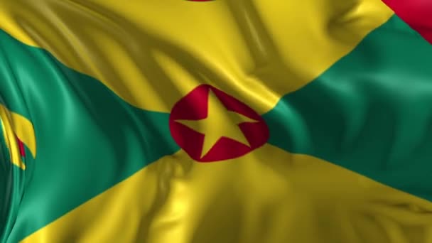 Flaga Grenady — Wideo stockowe