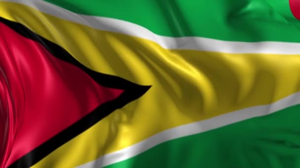 Bandiera della Guyana — Video Stock