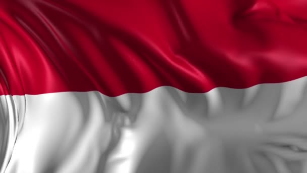 Прапор Індонезії — стокове відео