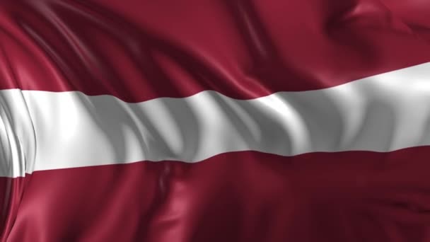 Flag of Latvia — Stock Video