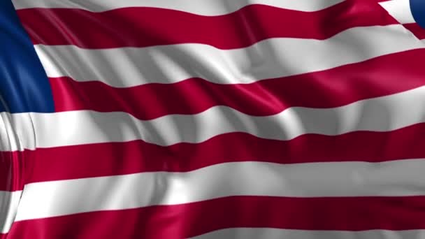 Flaga Liberii — Wideo stockowe