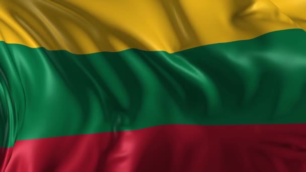 Bandera de lithuania — Vídeo de stock