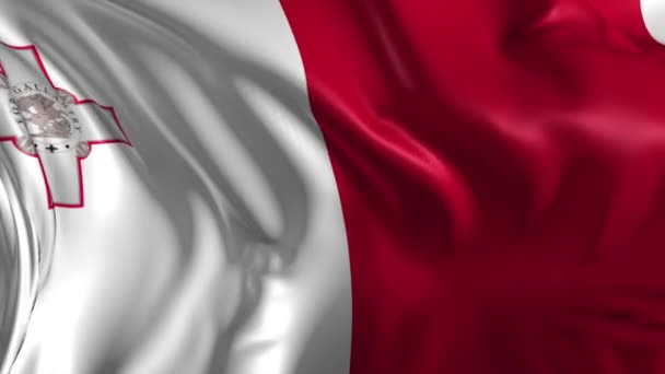 Flagge von Malta — Stockvideo