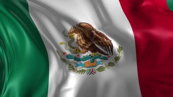 Vlag van mexico — Stockvideo