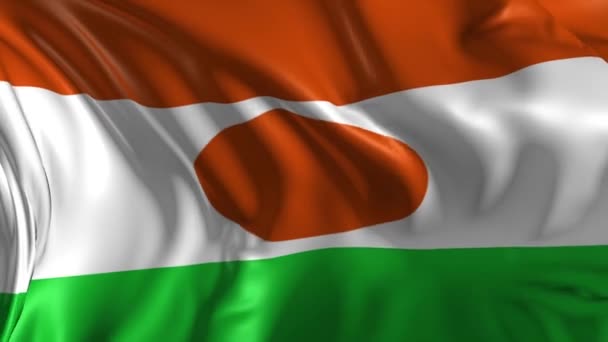 Bandeira de niger — Vídeo de Stock