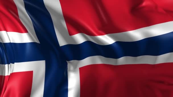 För norsk flagg — Stockvideo