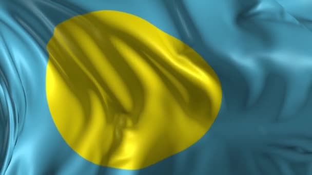 Flag of Palau — Stock Video