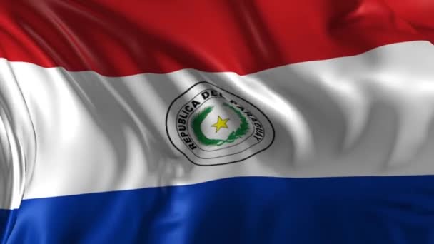 Bandeira do Paraguai — Vídeo de Stock