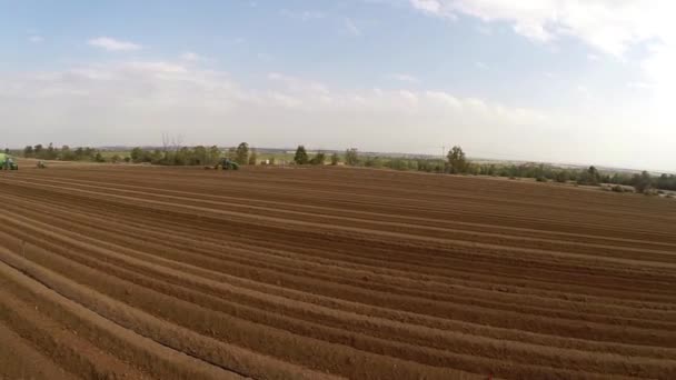 Grande campo di patate — Video Stock