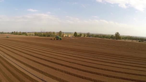 Vista di volo del campo di patate — Video Stock