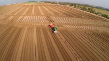 patates alanın üzerine uçuş