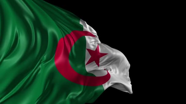 Algeriets flag – Stock-video