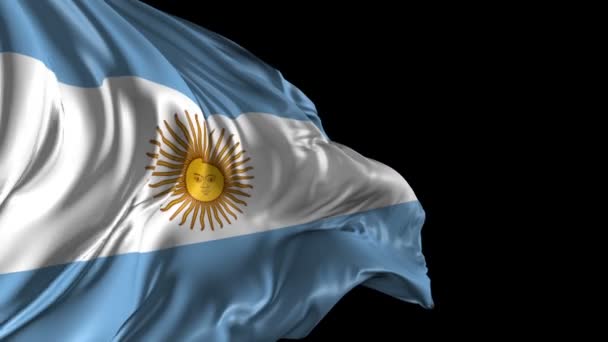 Bendera Argentina — Stok Video