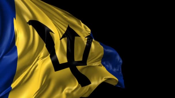 Flag of Barbados — Stock Video
