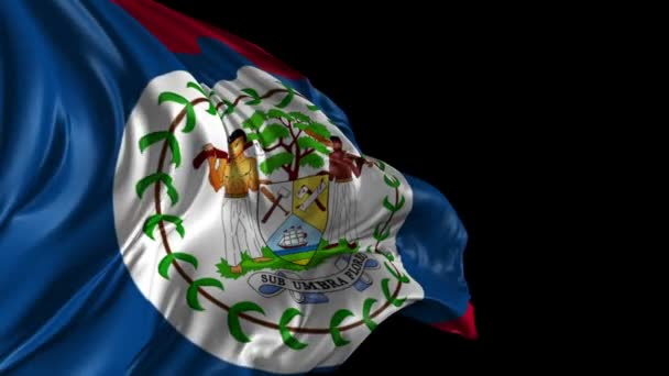 Vlag van belize — Stockvideo