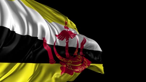 Flagga brunei — Stockvideo