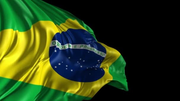 Flagga Brasilien — Stockvideo