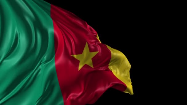 Flag of Cameroon — Stock Video