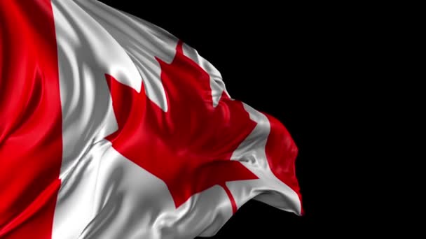 Σημαία Καναδά — Αρχείο Βίντεο