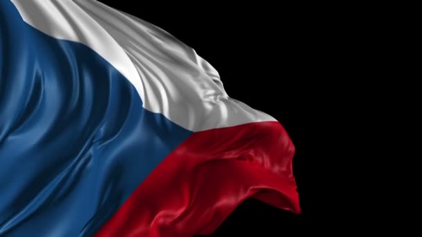 Flag of Czech Republic — Stock Video