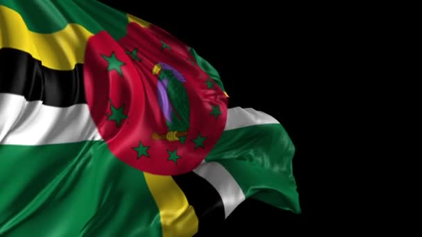 Flag of Dominica — Stock Video