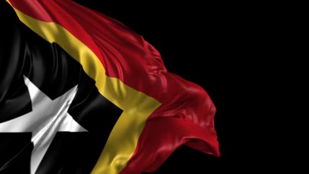 Bandiera di Timor Est — Video Stock