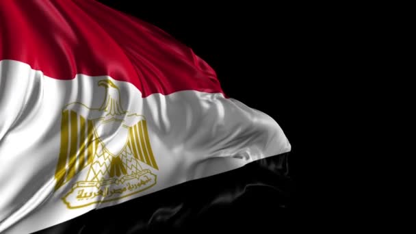 Vlajka Egypta — Stock video