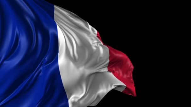 Flag of France — Stock Video