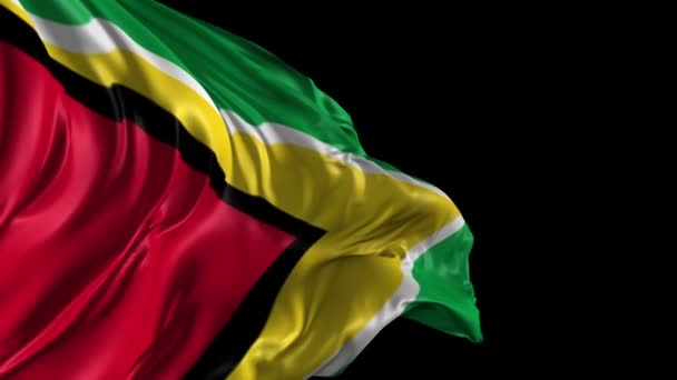 Vlag van Guyana — Stockvideo