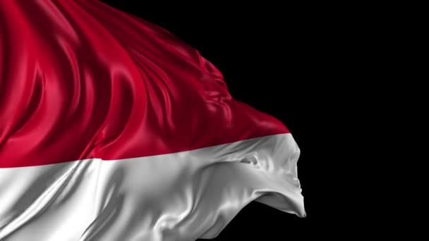 Bandera de Indonesia — Vídeos de Stock