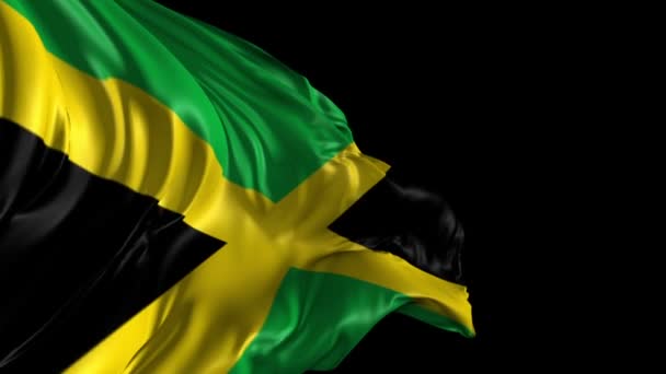 Flagge Jamaikas — Stockvideo