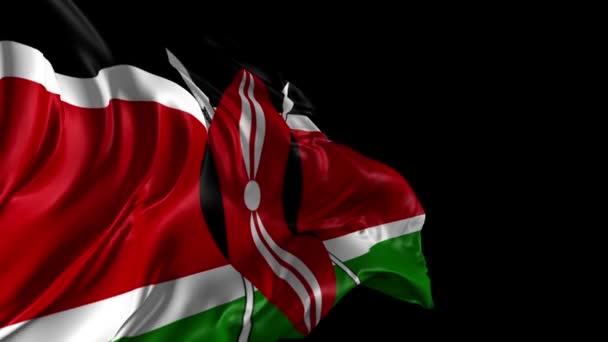 Flag of Kenya — Stock Video