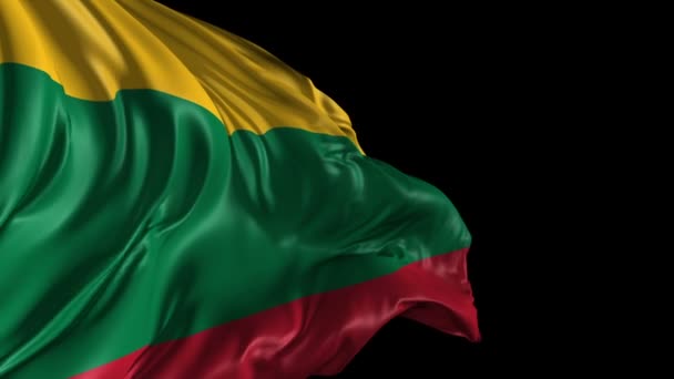 Vlag van Litouwen — Stockvideo