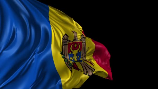 Flagga Moldavien — Stockvideo