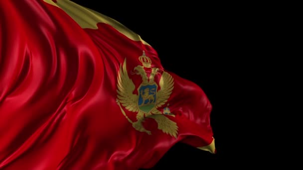 Vlag van montenegro — Stockvideo