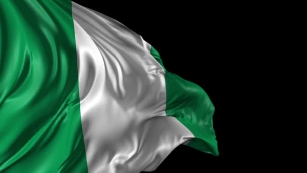 ナイジェリアの国旗 — ストック動画