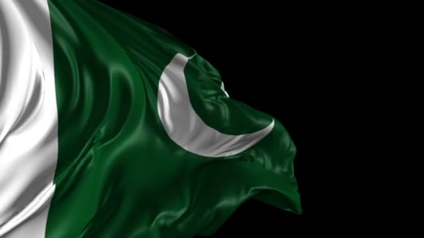 Bandiera del Pakistan — Video Stock