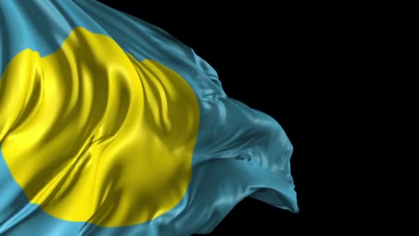 Flag of Palau — Stock Video