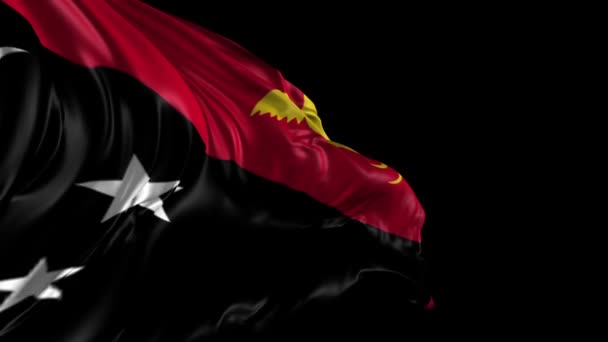 Vlag van Papoea-Nieuw-Guinea — Stockvideo