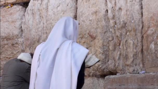 Man pray at the western wall — Stock Video