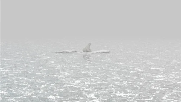 Niedźwiedź Polarny Stojący Ostatniej Topniejącej Górze Lodowej Oceanie Widok Lotu — Zdjęcie stockowe