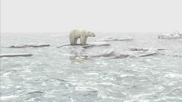 極熊は海の中で最後の氷解した氷山の上に立ち 地球温暖化の概念 絶滅の危機にある極熊 — ストック写真