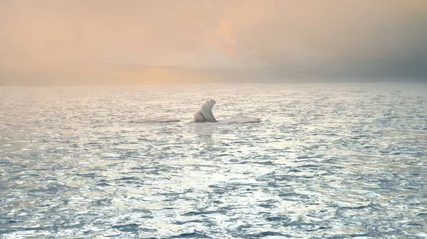 Ijsbeer Zit Laatste Smeltende Ijsberg Oceaan Vanuit Lucht Gezien Global — Stockfoto