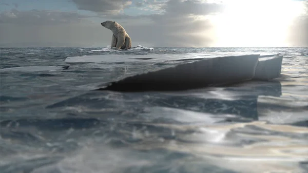 極熊は海の中で最後の氷解した氷山の上に座っている 航空地球温暖化の概念 絶滅の危機にある極熊 — ストック写真