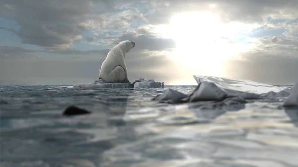 Eisbär Sitzt Auf Letztem Schmelzenden Eisberg Ozean Klimaerwärmungskonzept Aus Der — Stockfoto