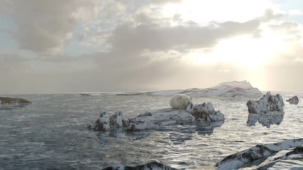 Полярний Ведмідь Один Скелі Північним Полюсом Ландшафтною Концепцією Глобального Потепління — стокове фото