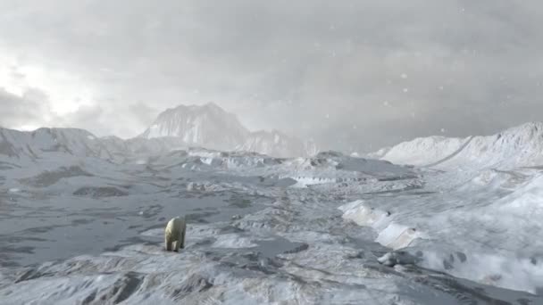 Kutup Ayısı Karlı Kutup Kayaları Üzerinde Oturuyor Aerialdrone Manzarası Küresel — Stok video