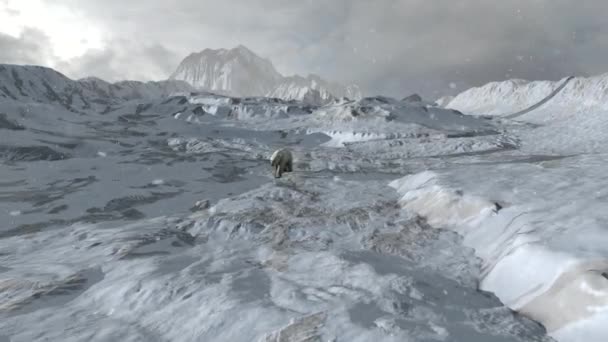 雪の北極の岩の風景 空中に座っているホッキョクグマドローンビュー 地球温暖化の概念 北極の野生動物 — ストック動画